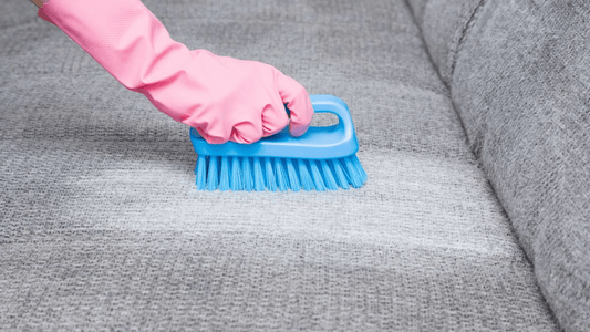 How To Get Pee Smell Out Of Couch ? - Luxury Art Canvas