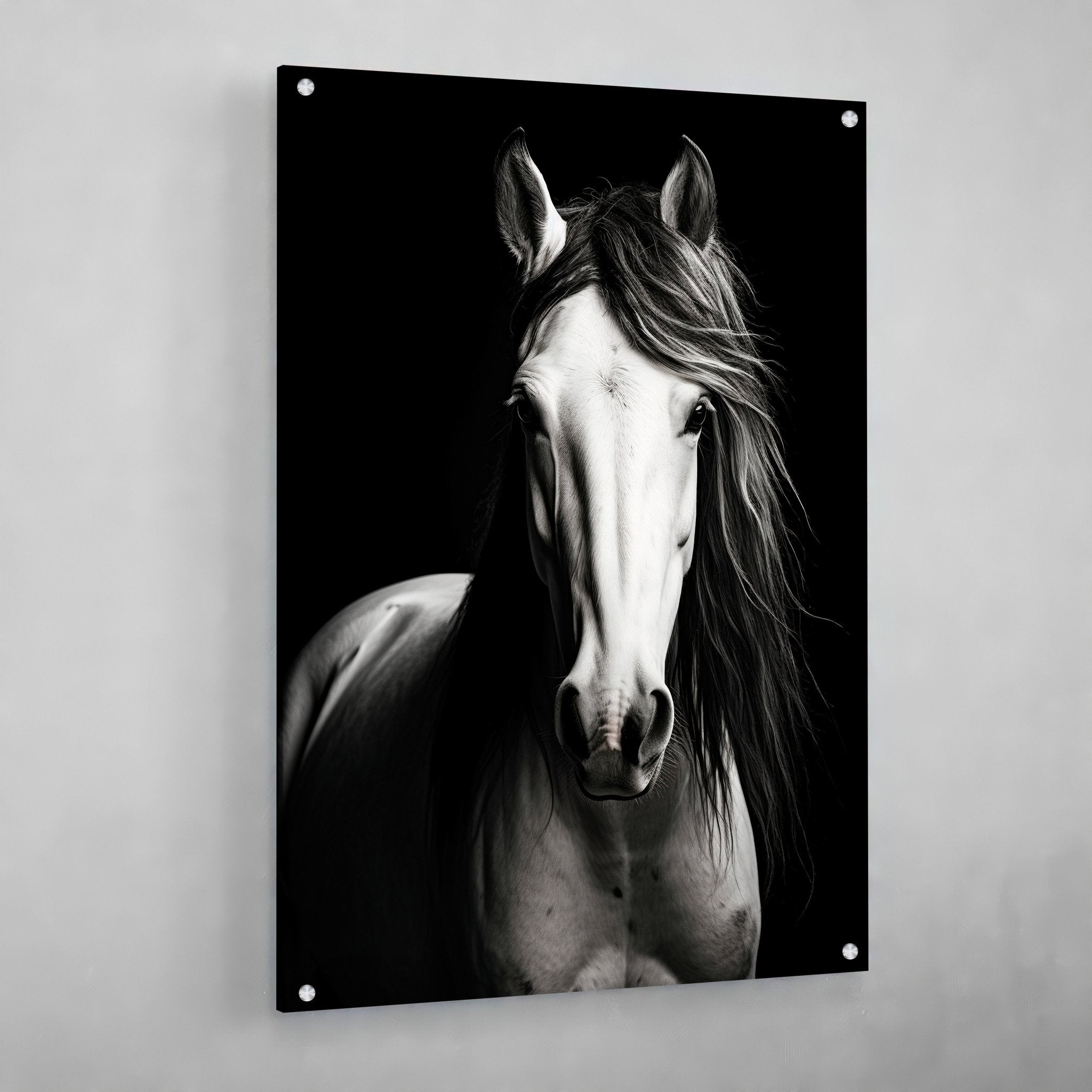 Black and White Horse Wall Art - Luxury Art Canvas