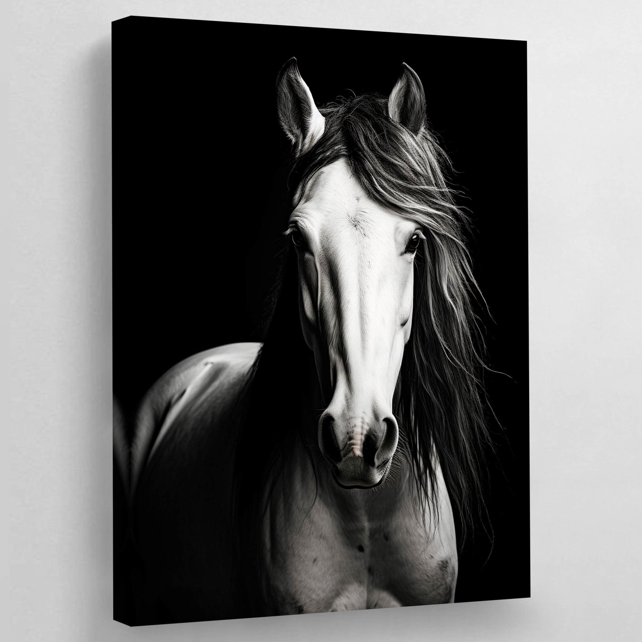 Black and White Horse Wall Art - Luxury Art Canvas