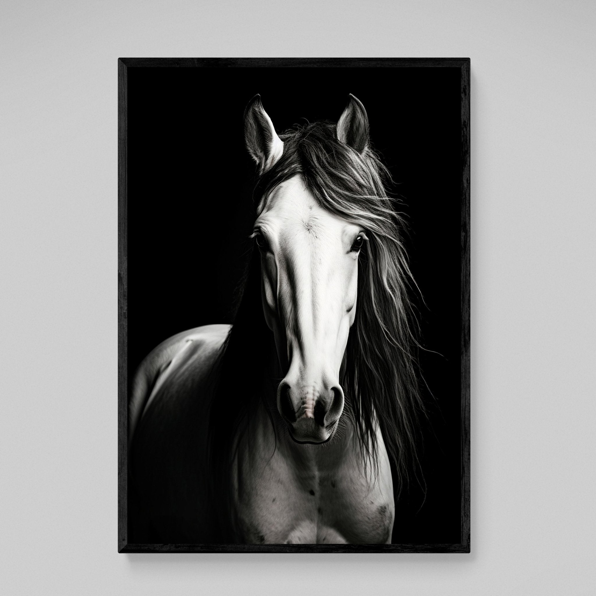 Black and White Horse Wall Art - Luxury Art Canvas