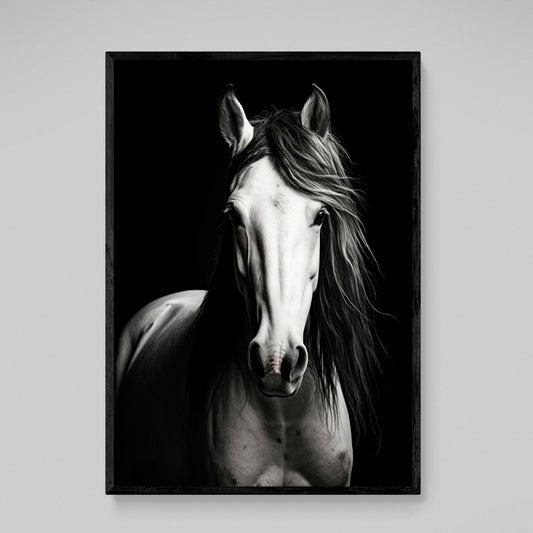 Black and White Horse Wall Art - Luxury Art Canvas