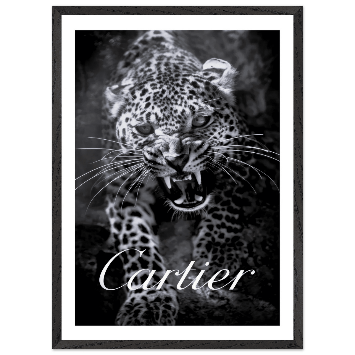 Cartier Leopard Black and White Wall Art - Luxury Art Canvas