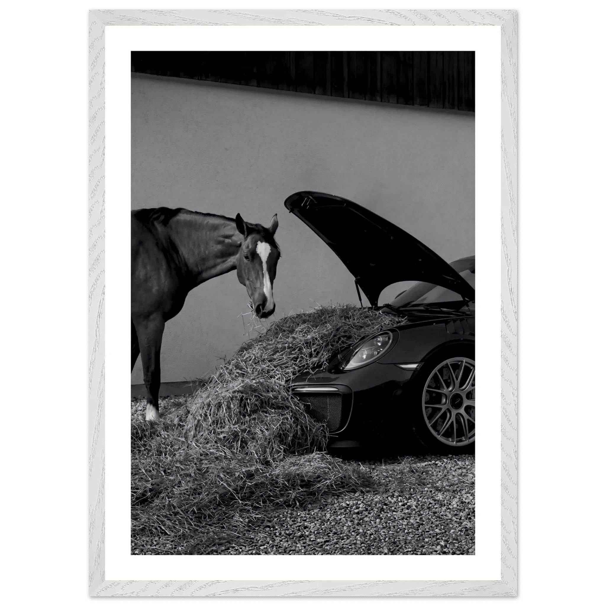Equestrian Elegance Black and White Wall Art - Luxury Art Canvas