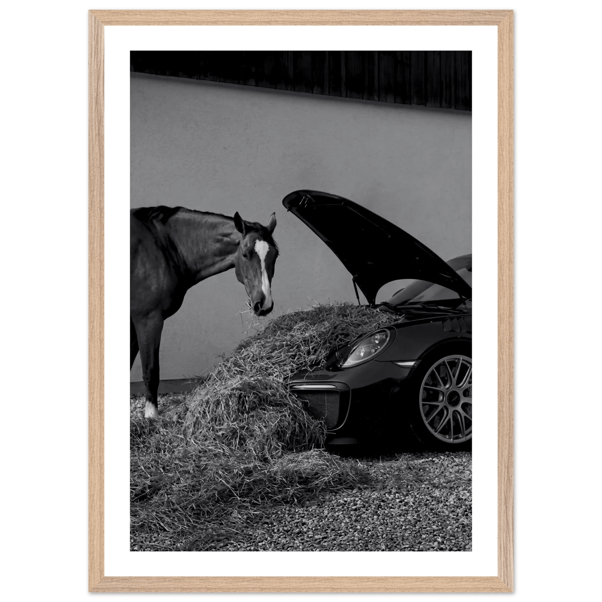 Equestrian Elegance Black and White Wall Art - Luxury Art Canvas