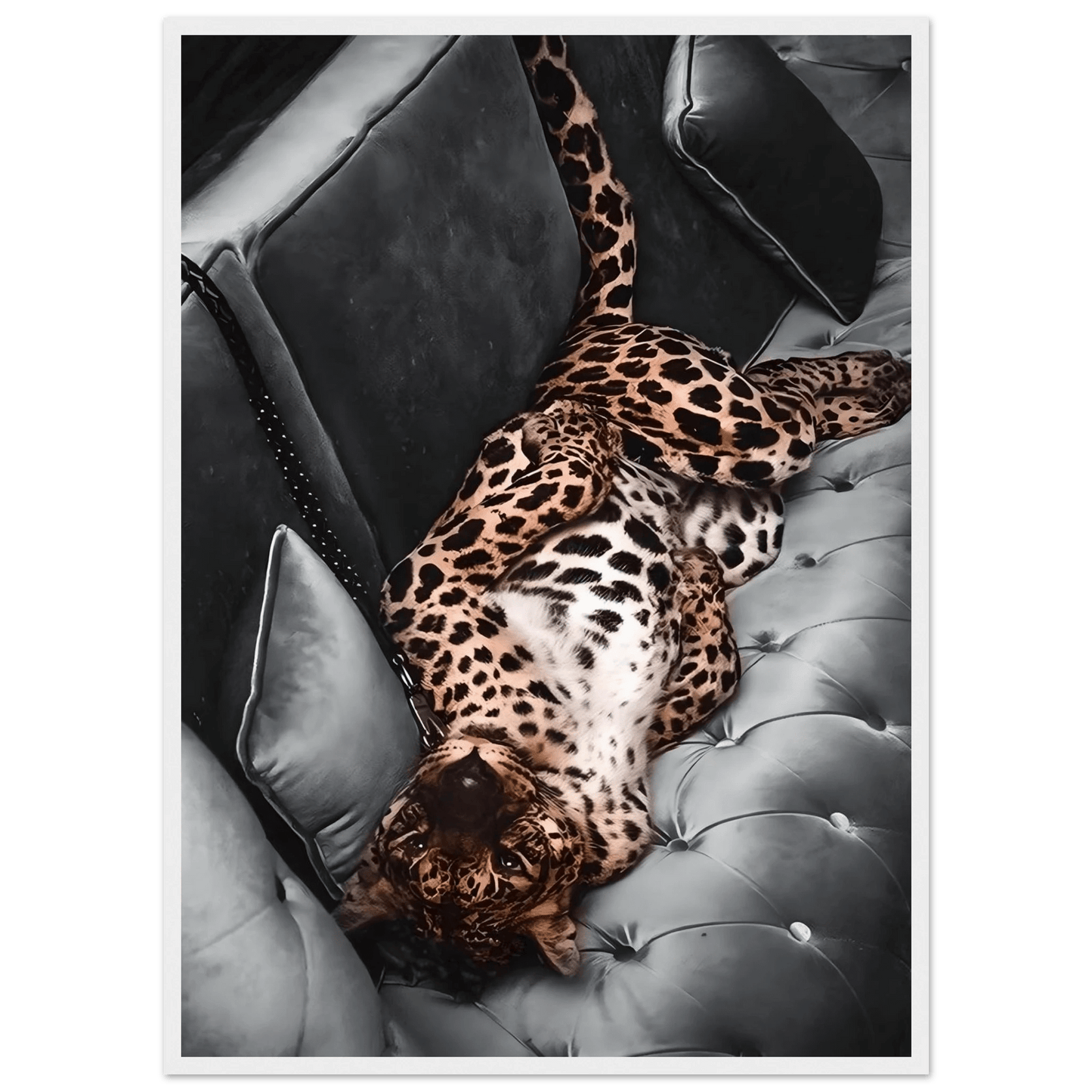 Leopard Photography Wall Art - Luxury Art Canvas
