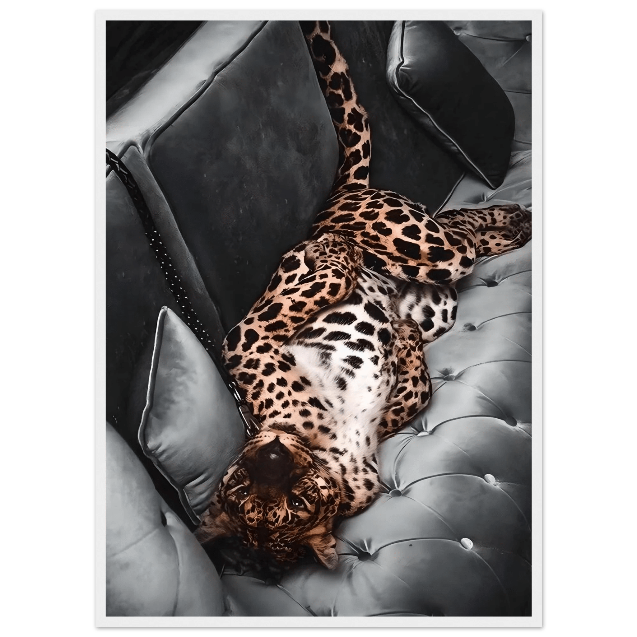 Leopard Photography Wall Art - Luxury Art Canvas