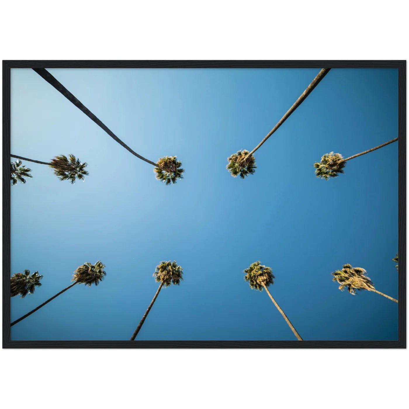Los Angeles Palm Trees Wall Art - Luxury Art Canvas