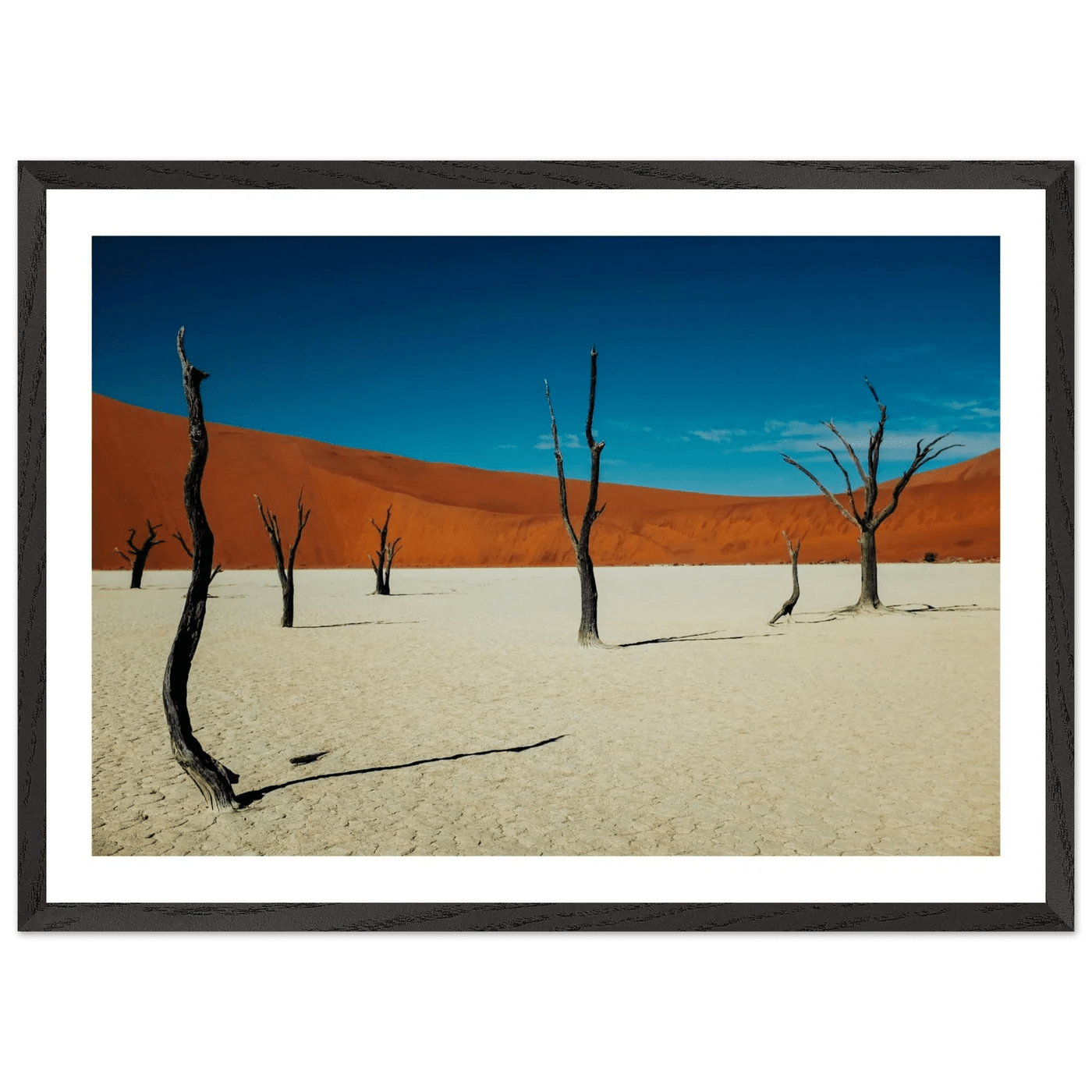 Namib Desert Photography Wall Art - Luxury Art Canvas