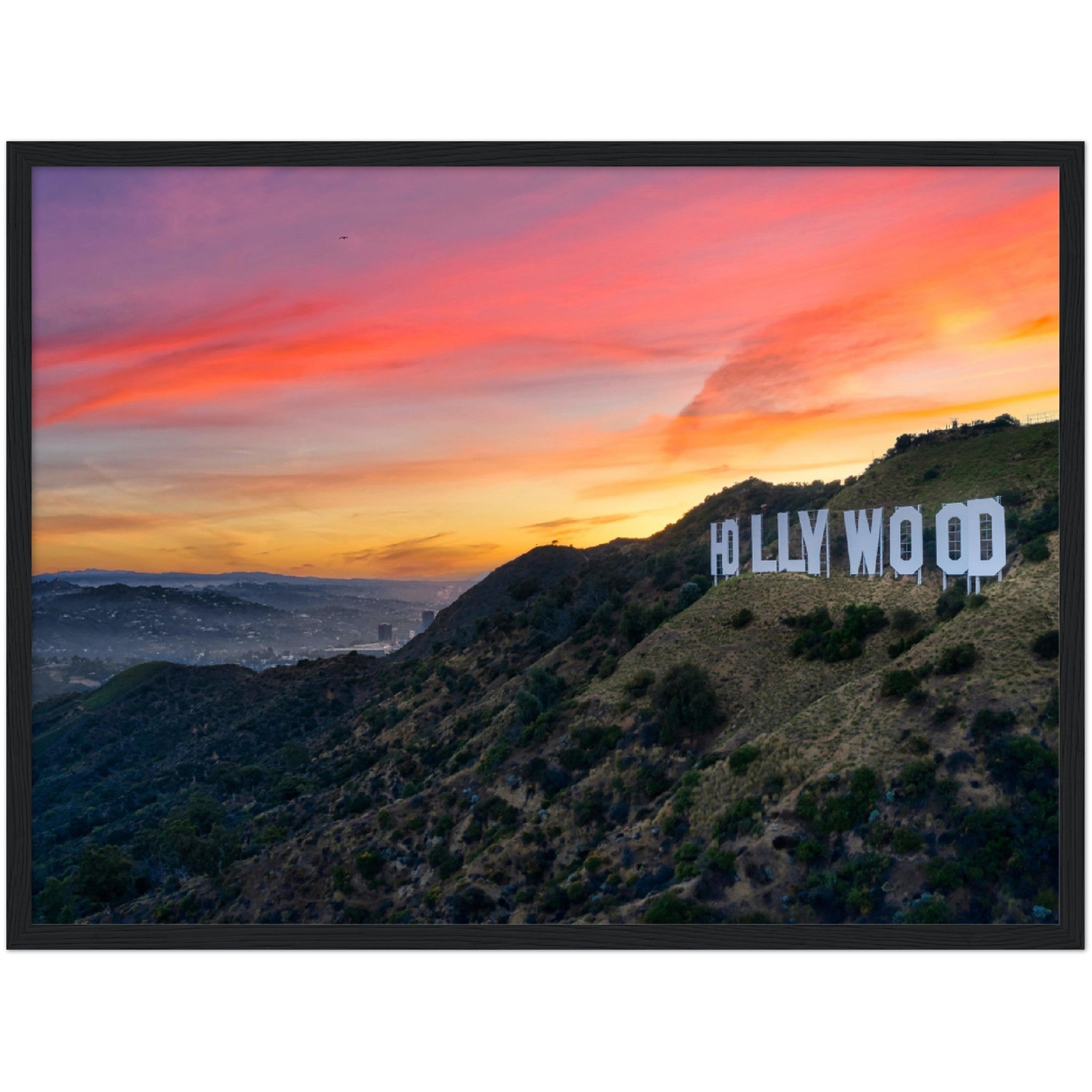 Hollywood Sign Wall Art - Luxury Art Canvas