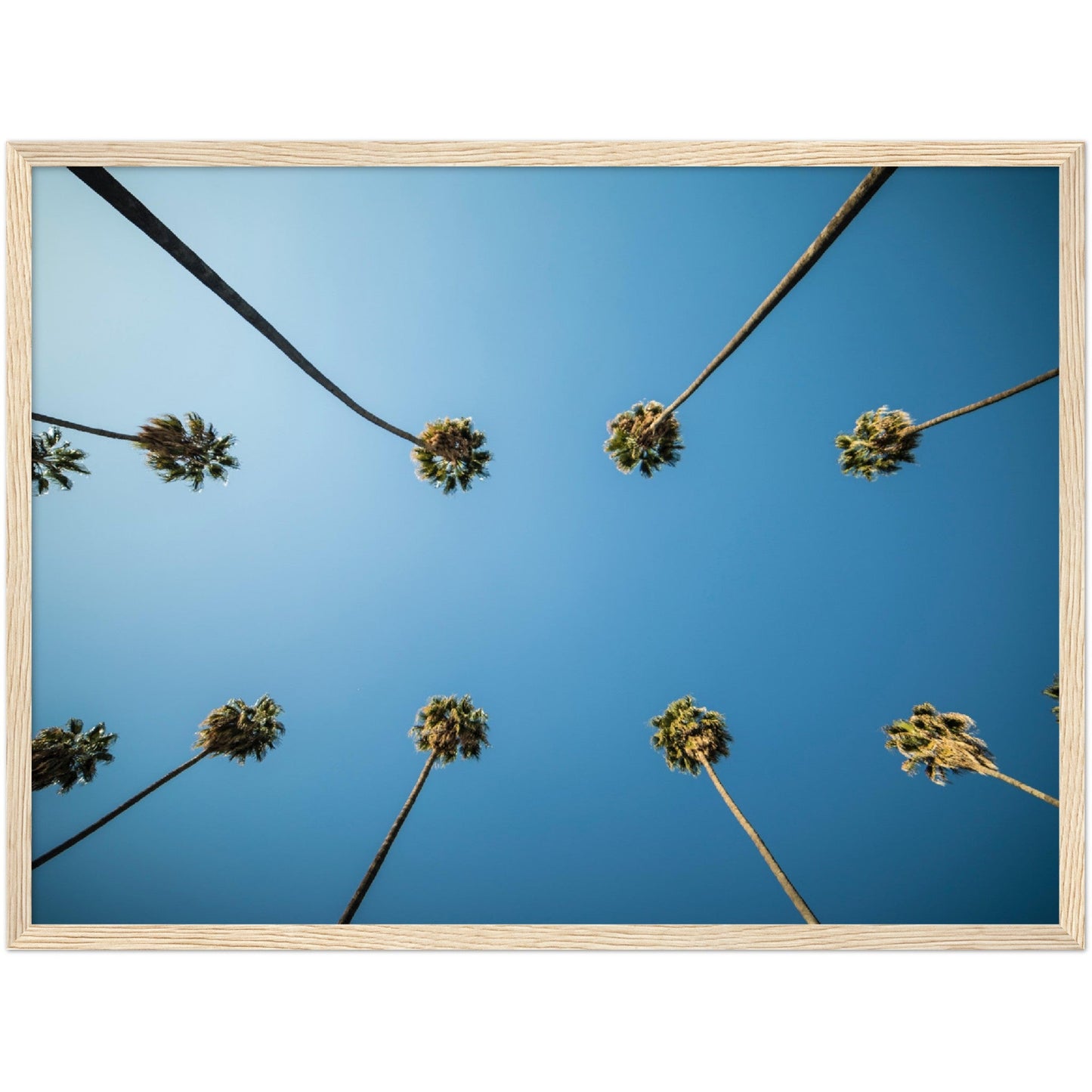 Los Angeles Palm Trees Wall Art - Luxury Art Canvas