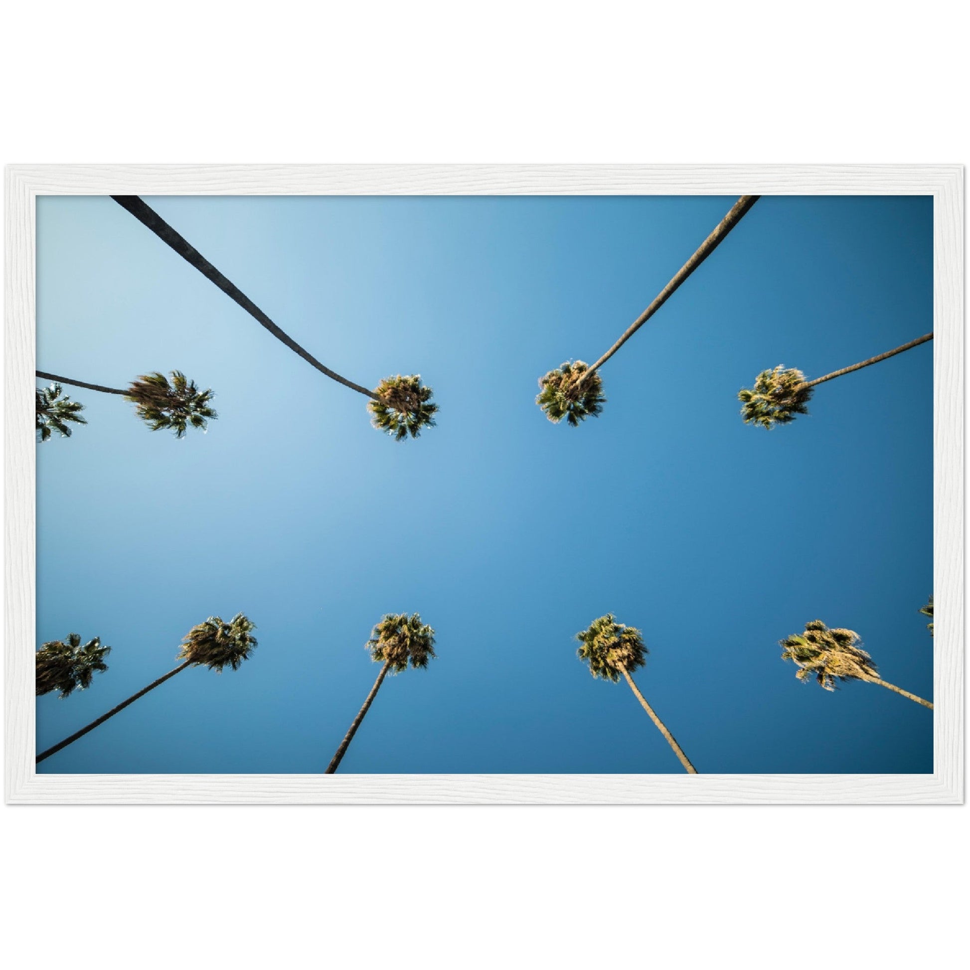 Los Angeles Palm Trees Wall Art - Luxury Art Canvas