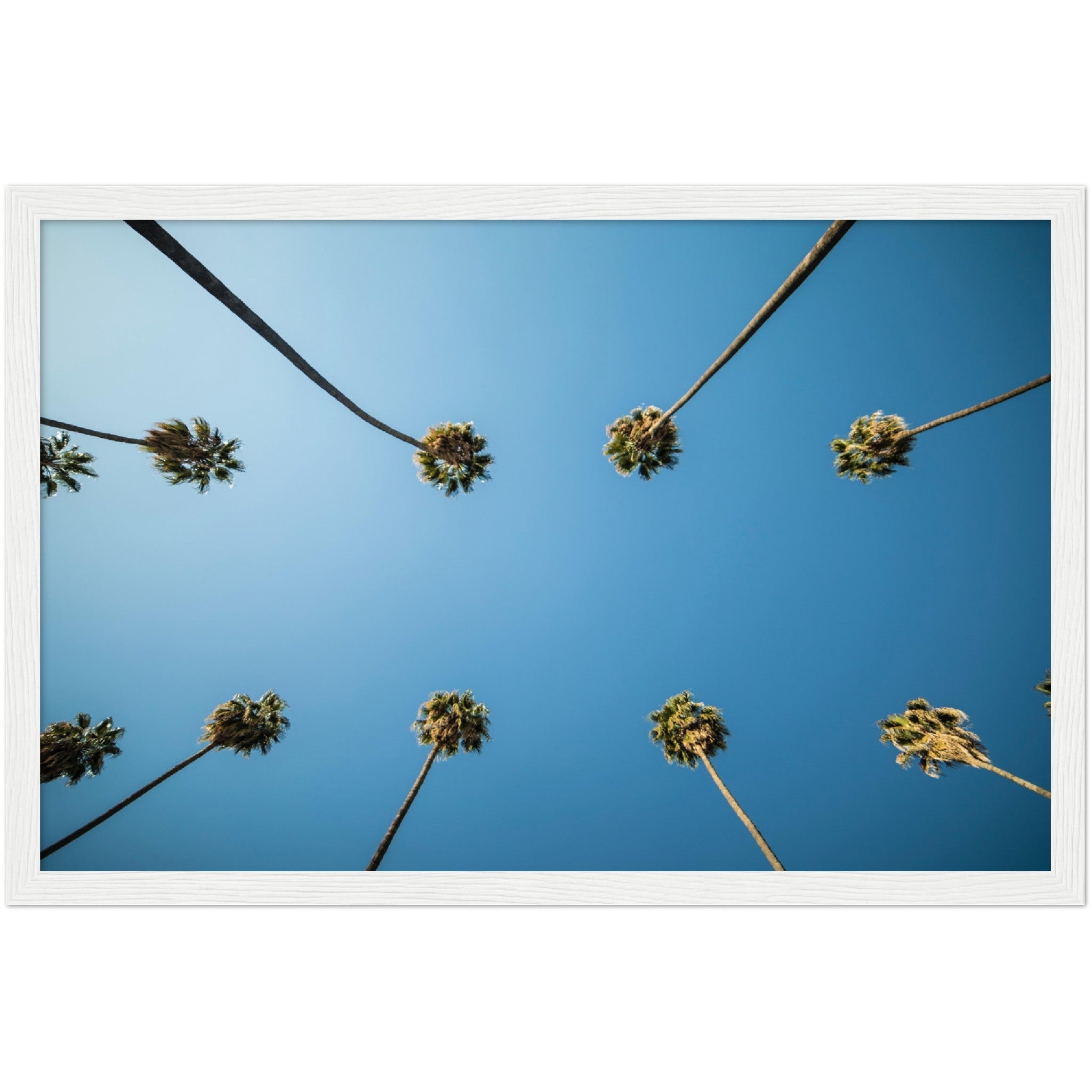 Los Angeles Palm Trees Wall Art - Luxury Art Canvas