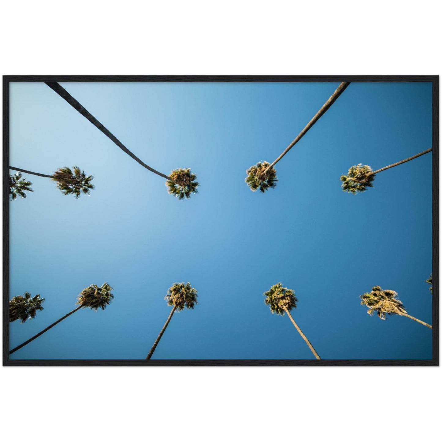 Los Angeles Palm Trees Wall Art - Luxury Art Canvas