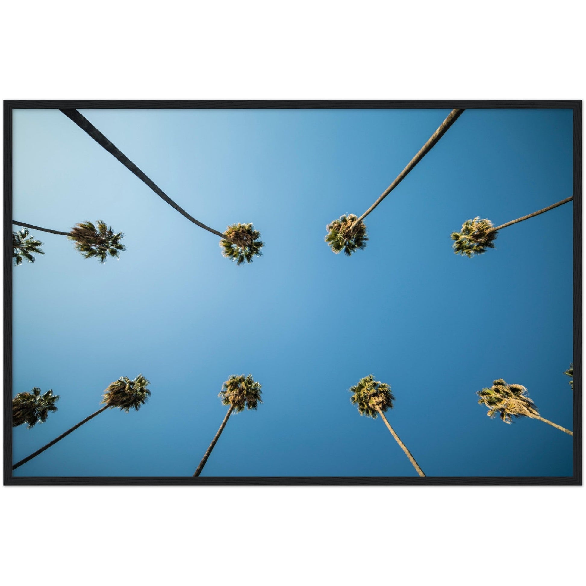 Los Angeles Palm Trees Wall Art - Luxury Art Canvas