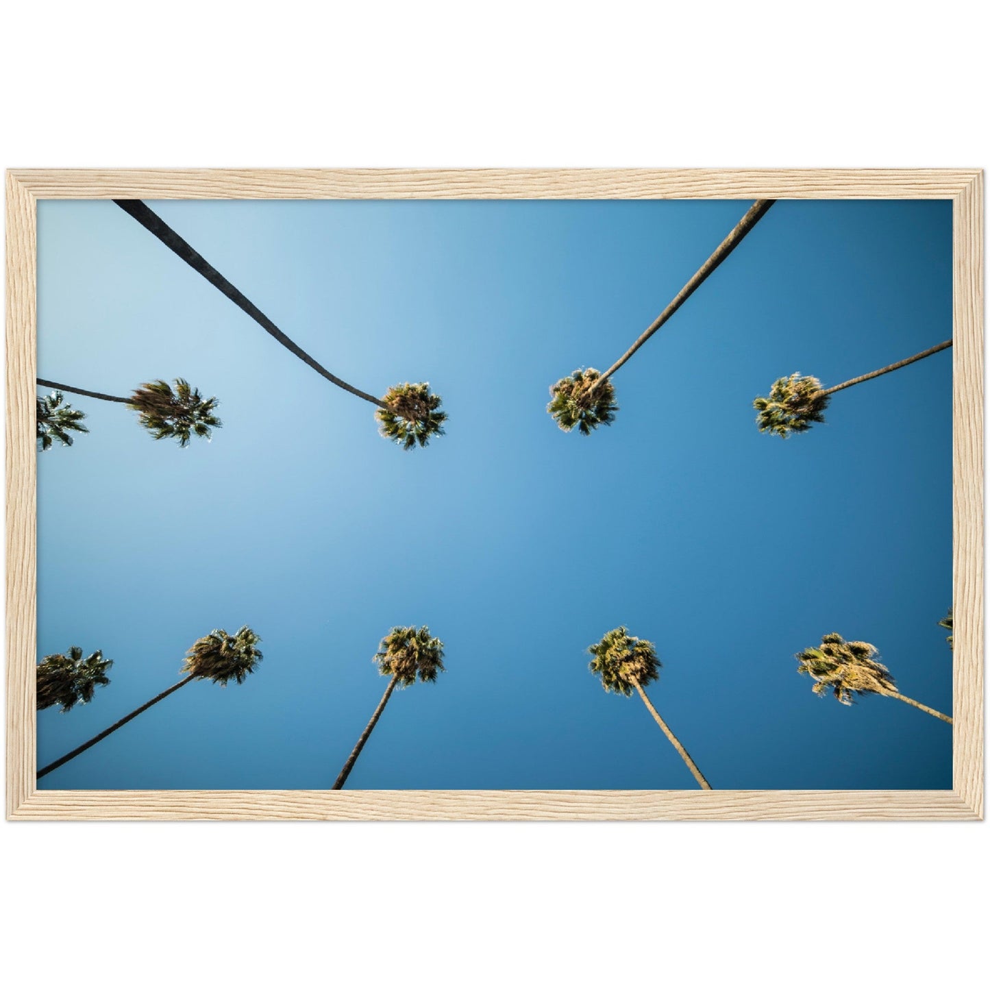 Los Angeles Palm Trees Wall Art - Luxury Art Canvas