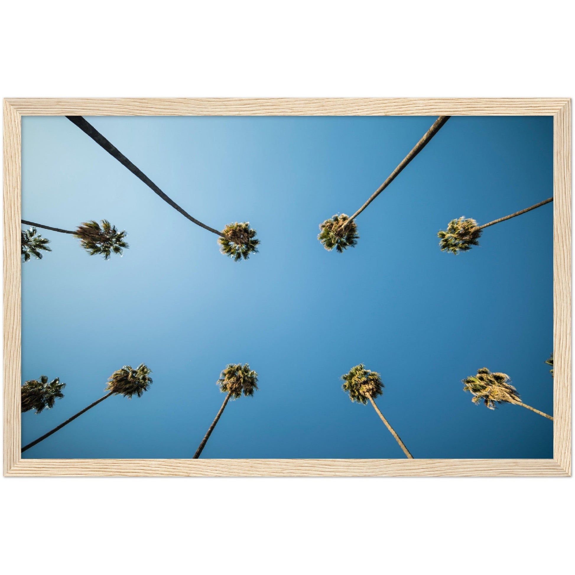 Los Angeles Palm Trees Wall Art - Luxury Art Canvas
