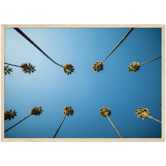 Los Angeles Palm Trees Wall Art - Luxury Art Canvas