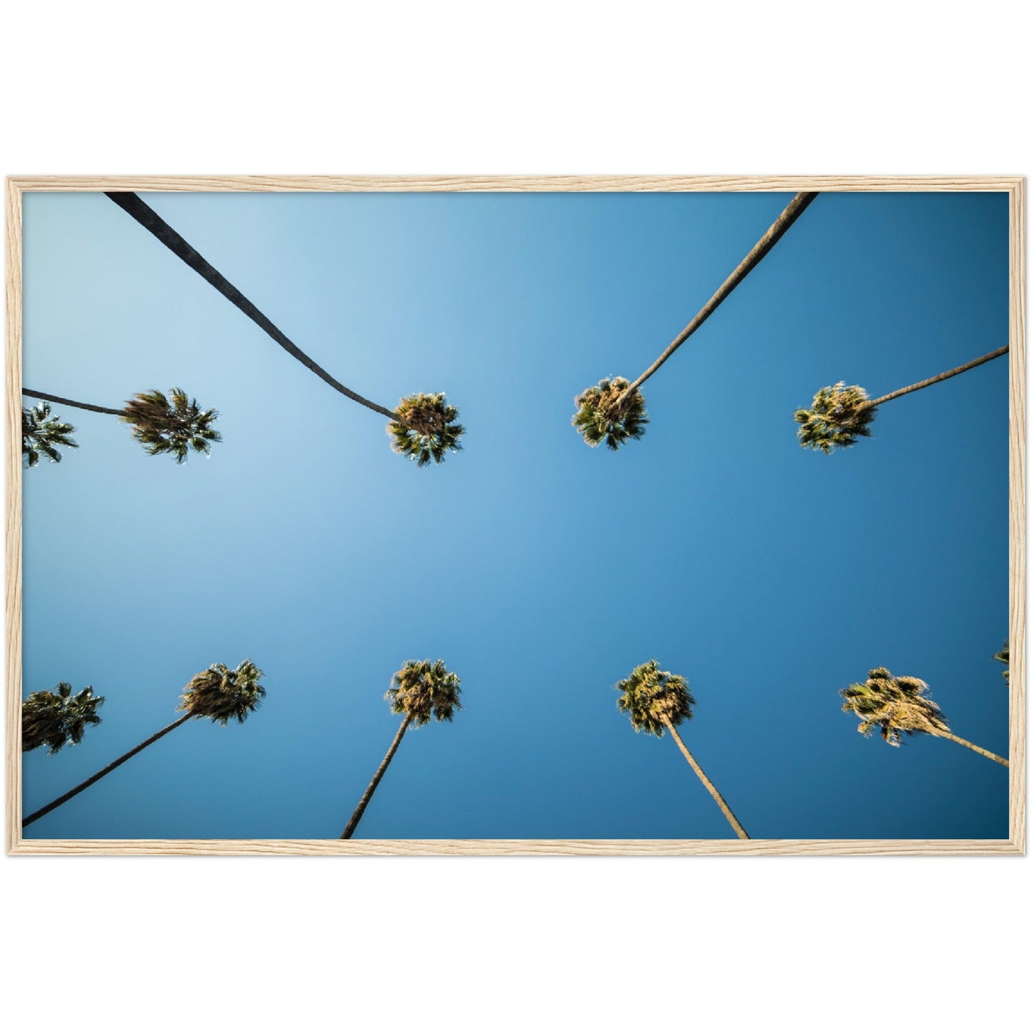 Los Angeles Palm Trees Wall Art - Luxury Art Canvas