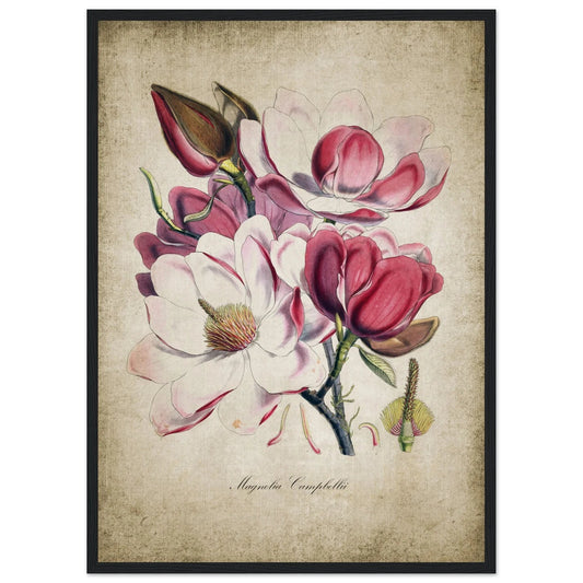 Vintage Botanical Wall Art - Luxury Art Canvas