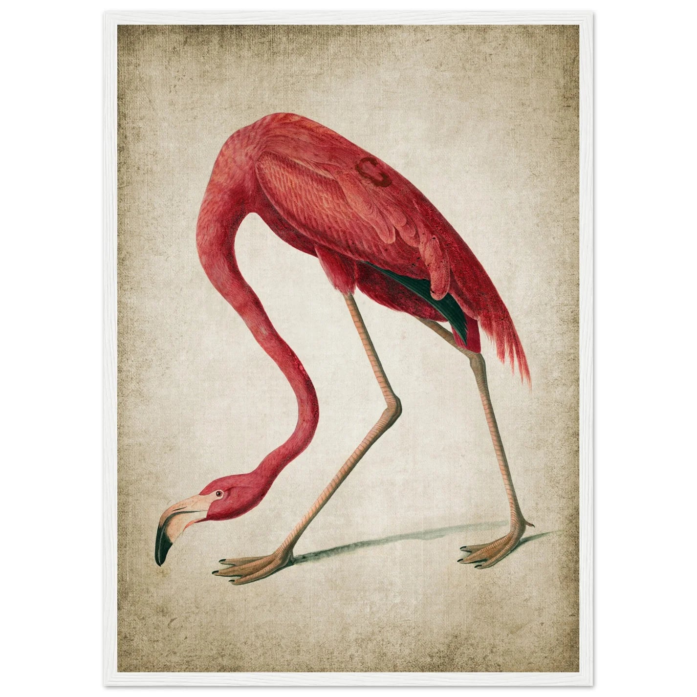 Vintage Flamingo Wall Art - Luxury Art Canvas
