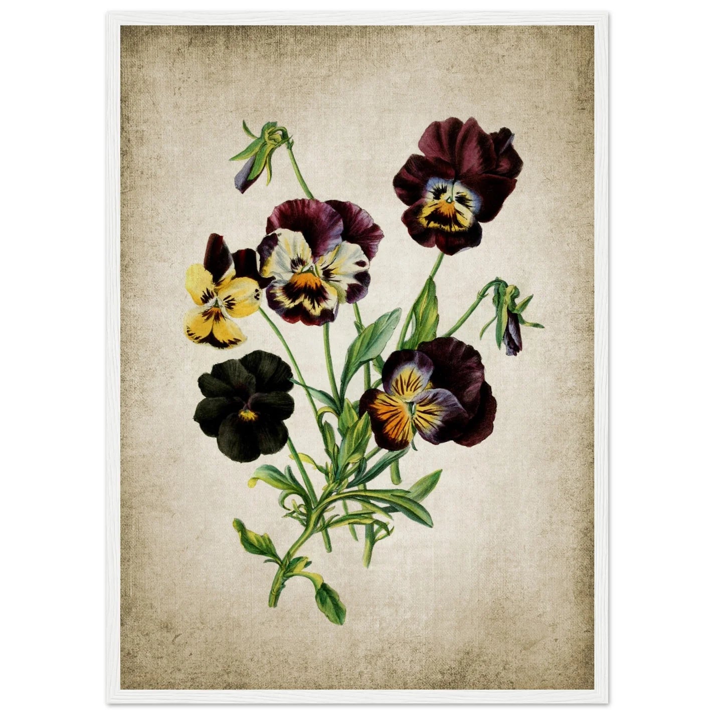 Vintage Flower Wall Art - Luxury Art Canvas