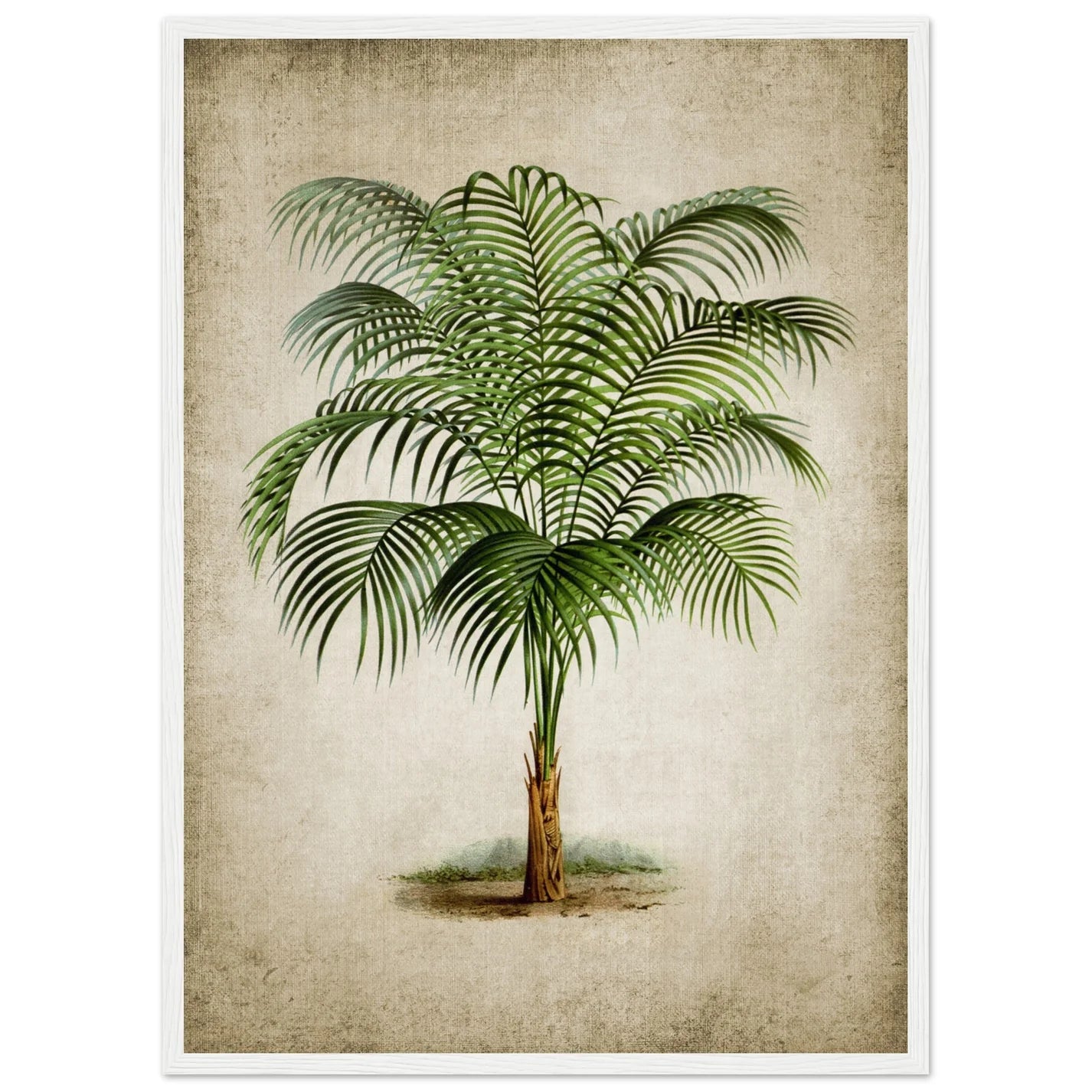 Vintage Tropical Wall Art - Luxury Art Canvas