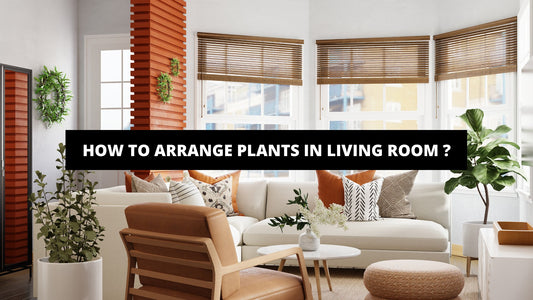 How To Arrange Plants In Living Room ? - Luxury Art Canvas
