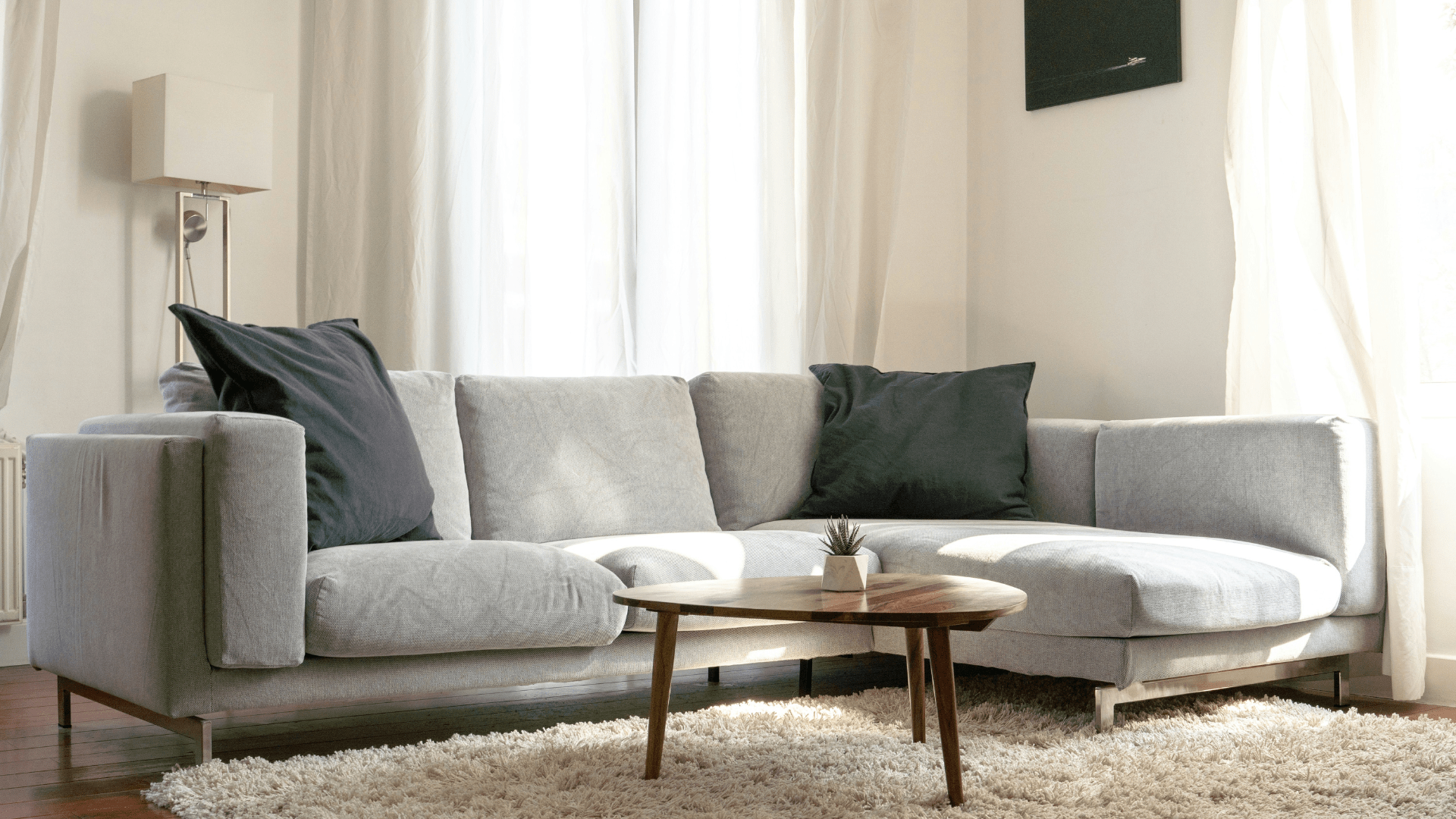 How To Get Urine Smell Out Of Couch ? - Luxury Art Canvas