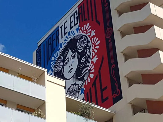 Obey, the Street Artist, Accuses French Far Right of Appropriating Iconic Image - Luxury Art Canvas