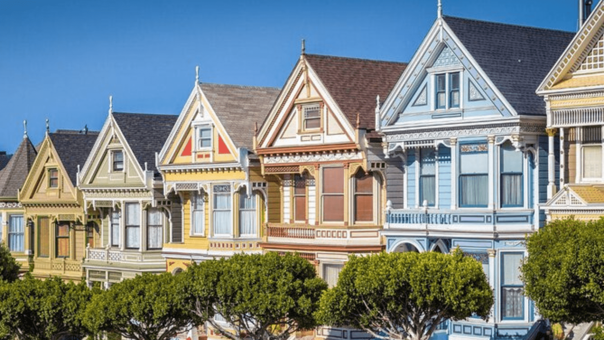 Why Are The Painted Ladies Famous ? - Luxury Art Canvas