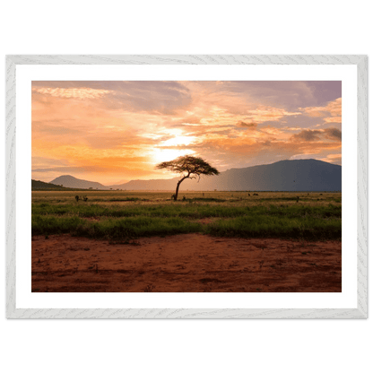 African Desert Photography Wall Art - Luxury Art Canvas