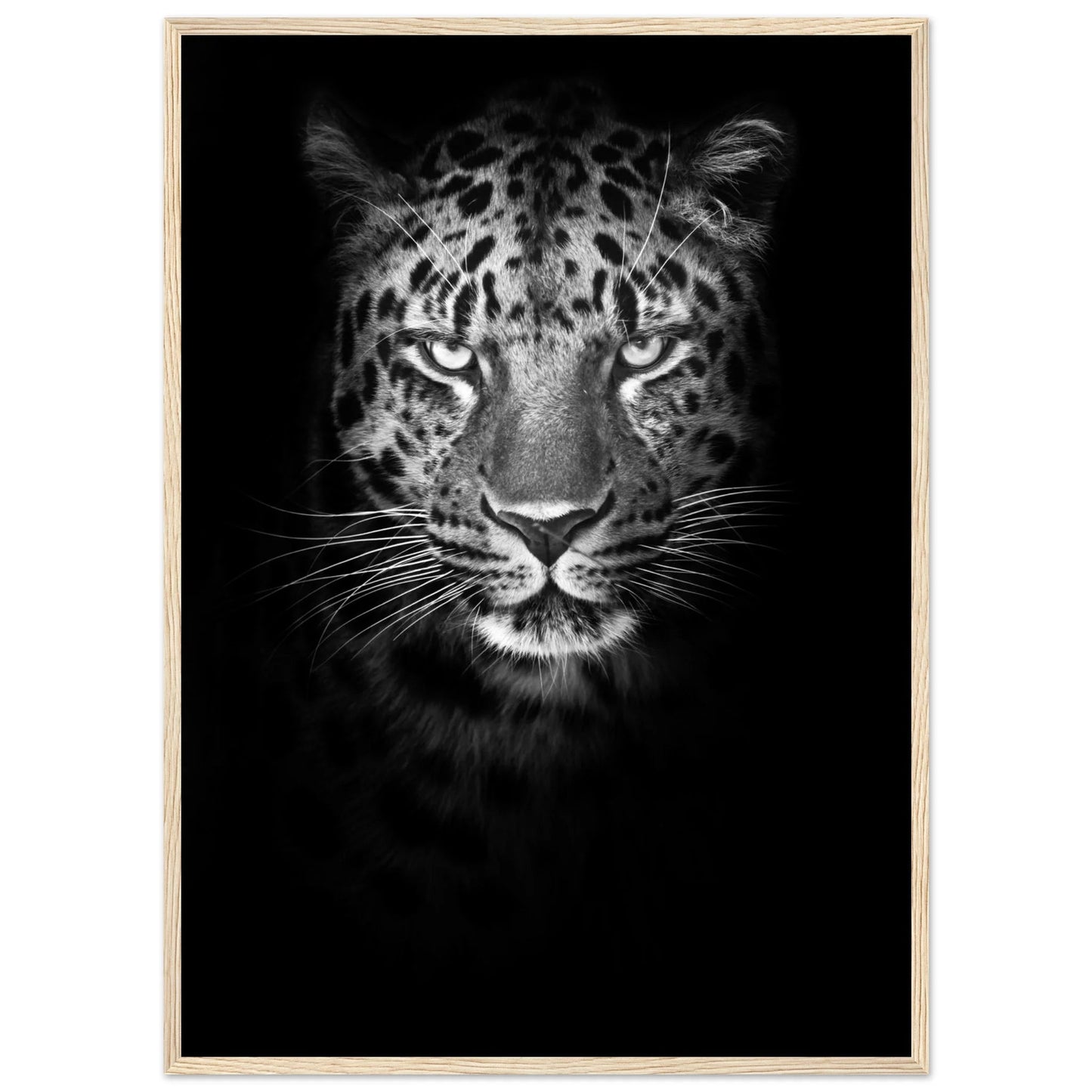 Black and White Leopard Wall Art - Luxury Art Canvas