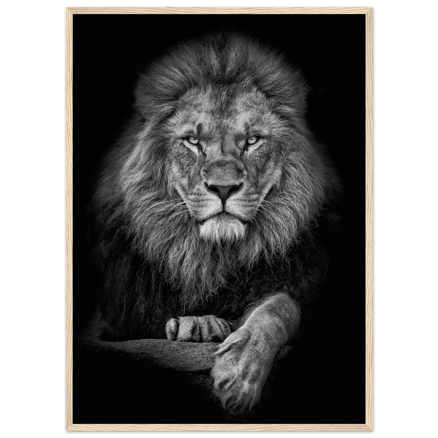 Black and White Lion Wall Art - Luxury Art Canvas