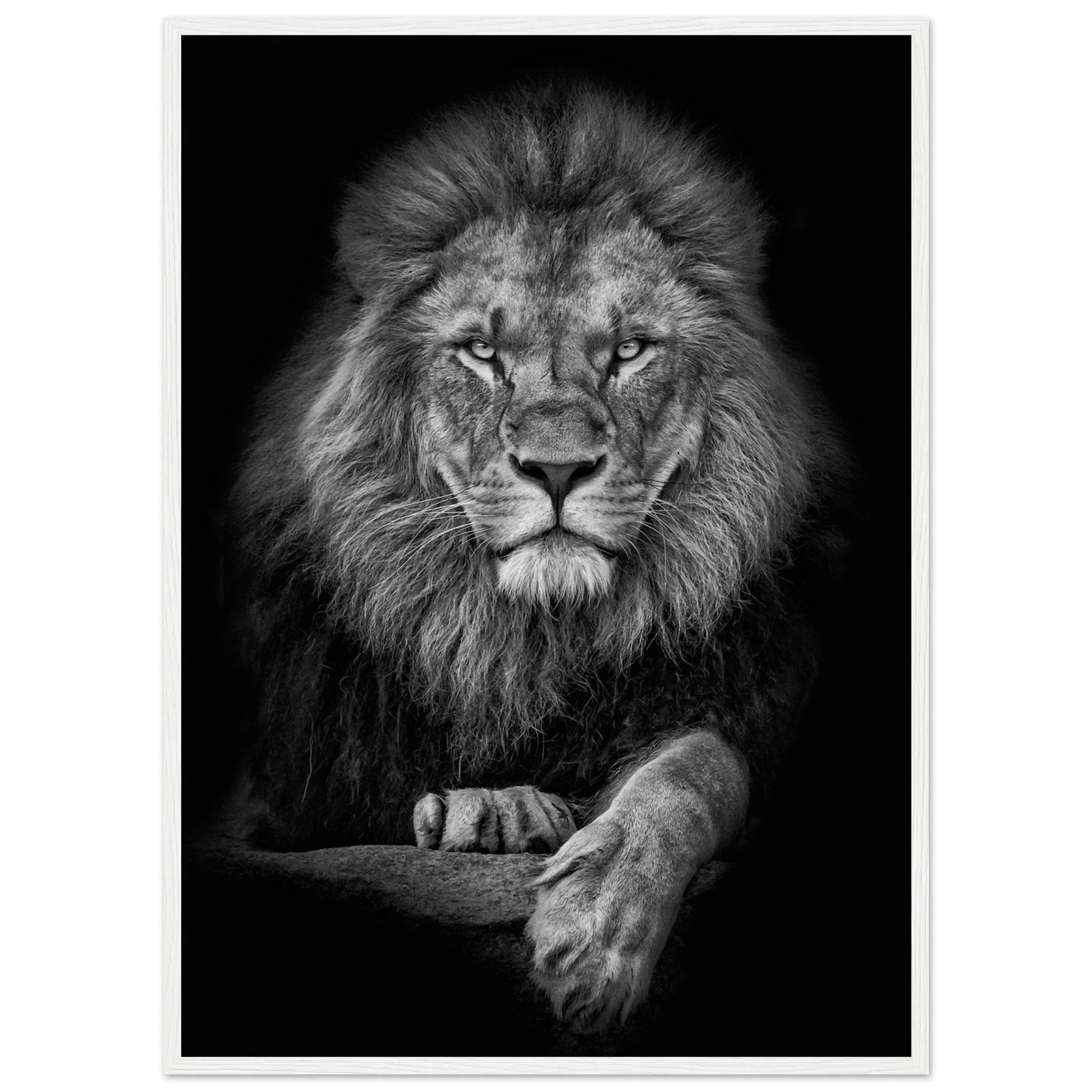 Black and White Lion Wall Art - Luxury Art Canvas