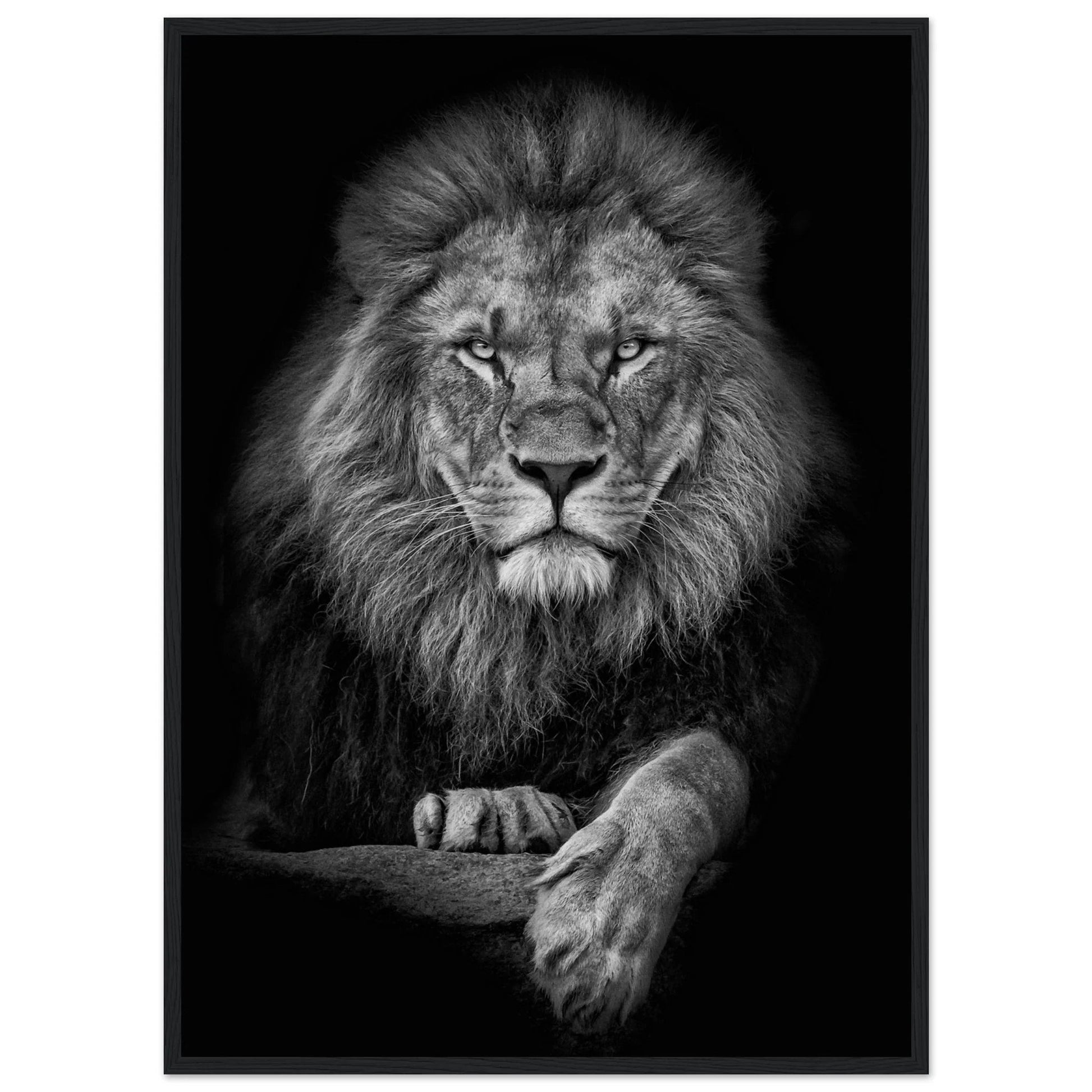 Black and White Lion Wall Art - Luxury Art Canvas