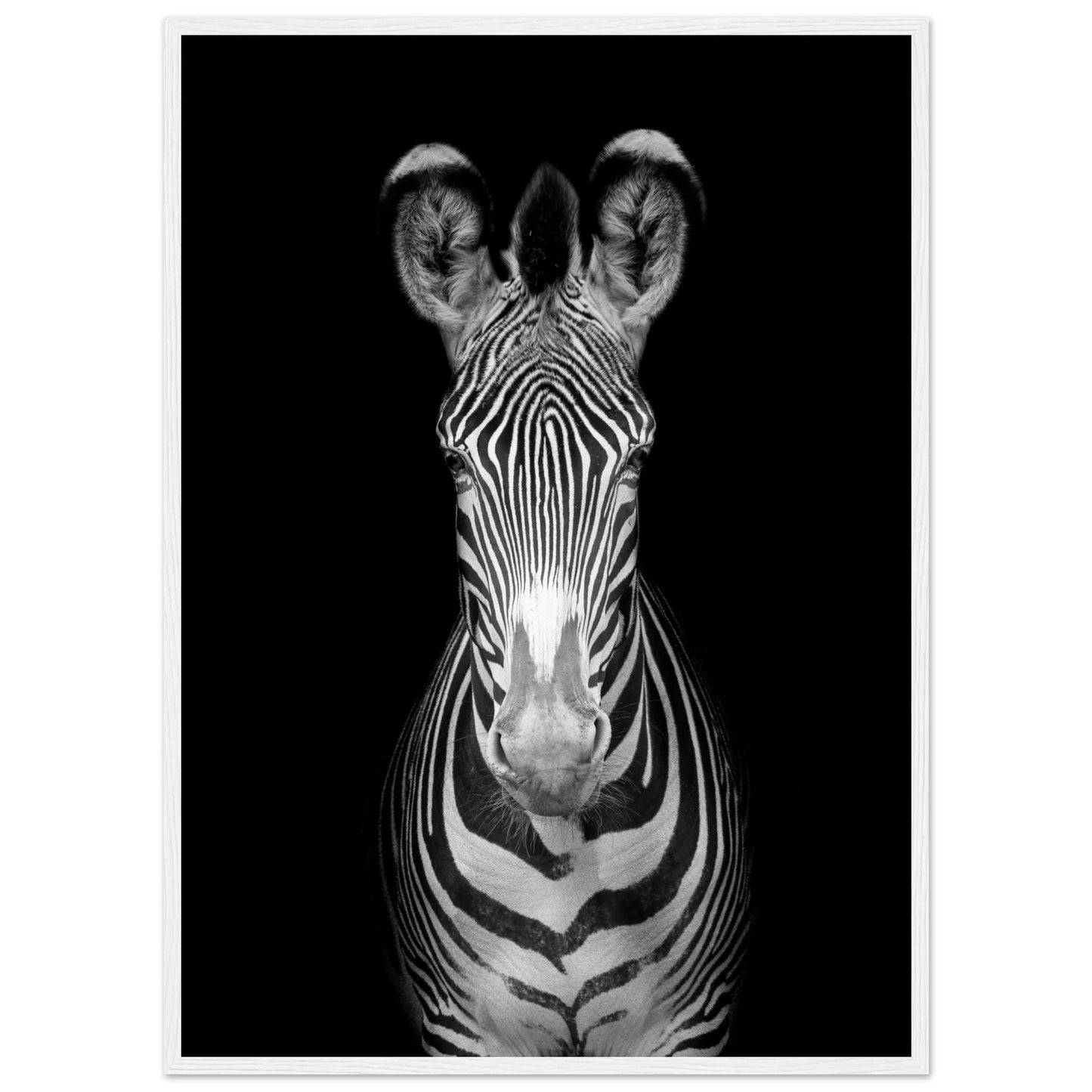 Black and White Zebra Wall Art - Luxury Art Canvas