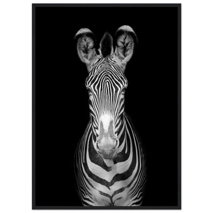 Black and White Zebra Wall Art - Luxury Art Canvas