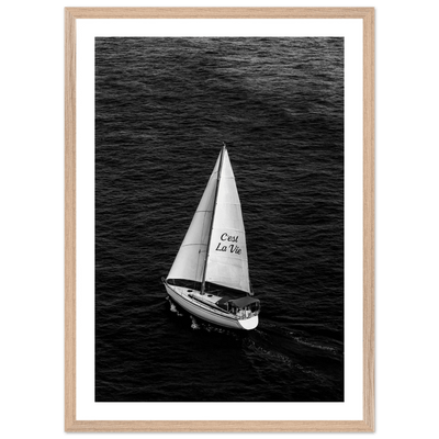 C'est La Vie Sailboat Black and White Wall Art - Luxury Art Canvas