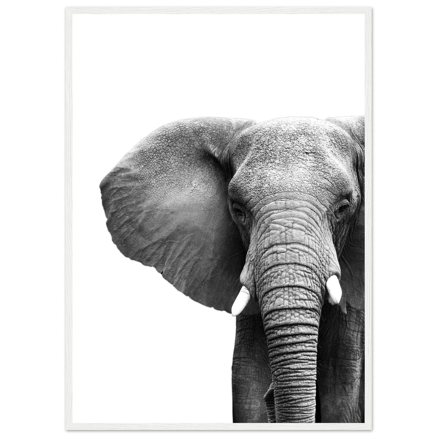 Elephant Black and White Wall Art - Luxury Art Canvas