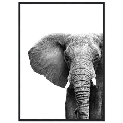 Elephant Black and White Wall Art - Luxury Art Canvas