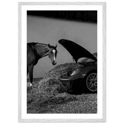 Equestrian Elegance Black and White Wall Art - Luxury Art Canvas