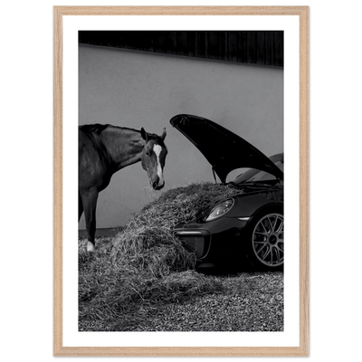 Equestrian Elegance Black and White Wall Art - Luxury Art Canvas
