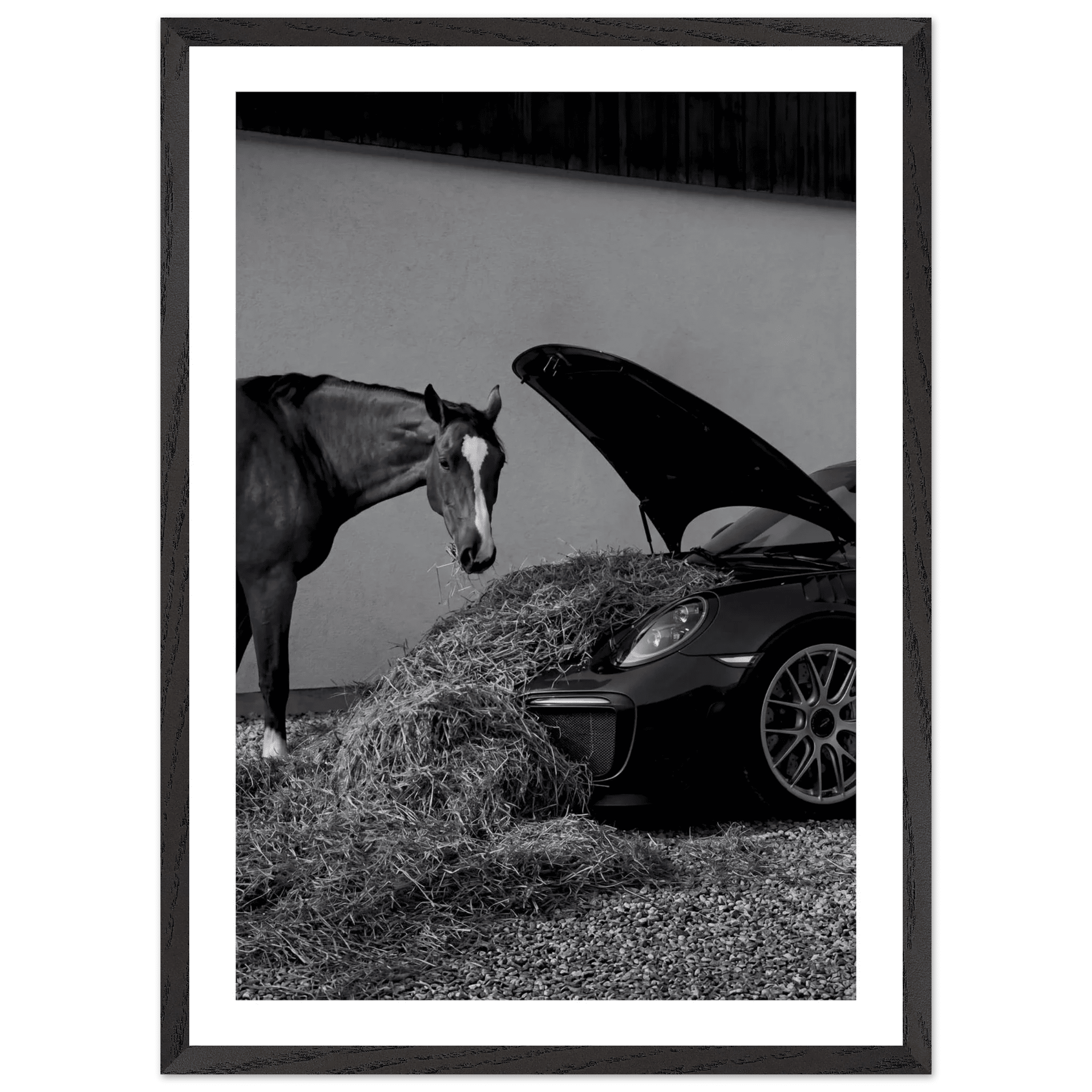 Equestrian Elegance Black and White Wall Art - Luxury Art Canvas