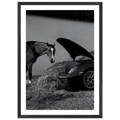 Equestrian Elegance Black and White Wall Art - Luxury Art Canvas