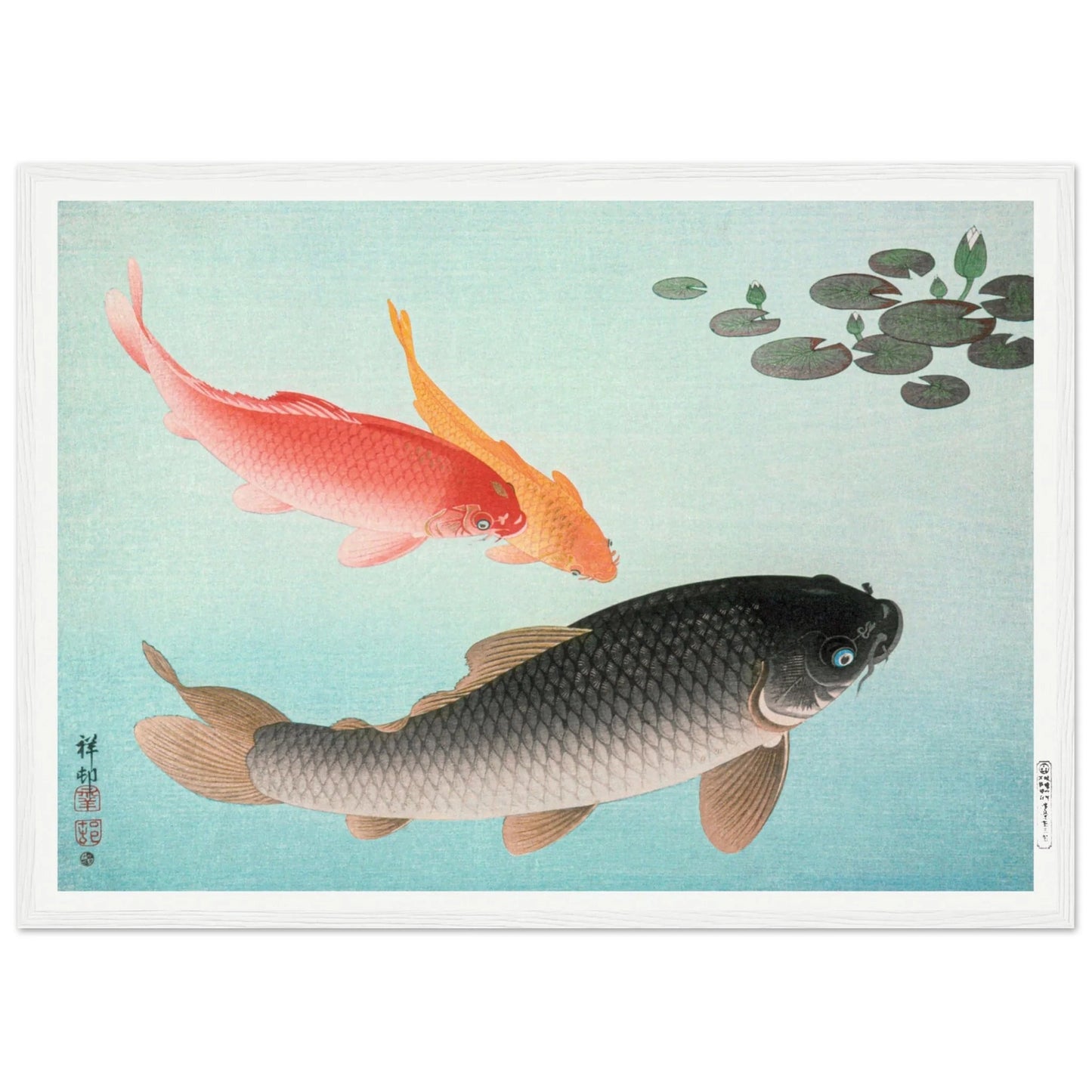 Japanese Koi Wall Art - Luxury Art Canvas