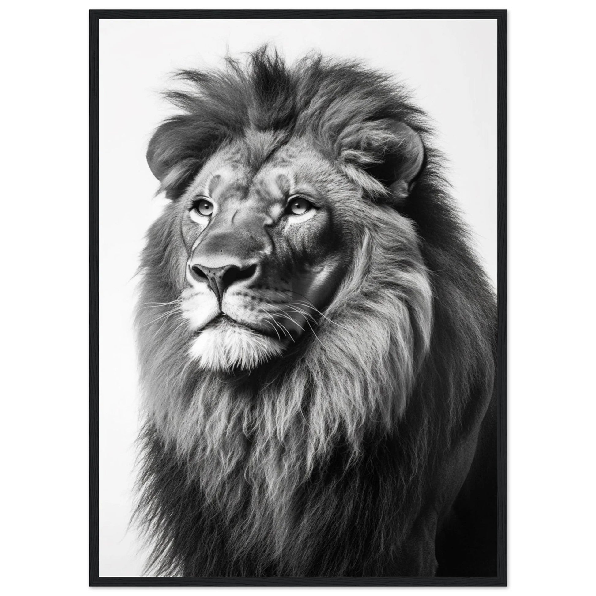 Lion Black and White Wall Art - Luxury Art Canvas