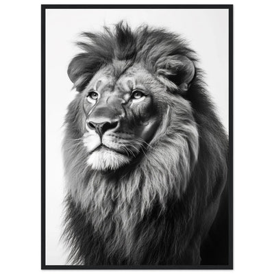 Lion Black and White Wall Art - Luxury Art Canvas