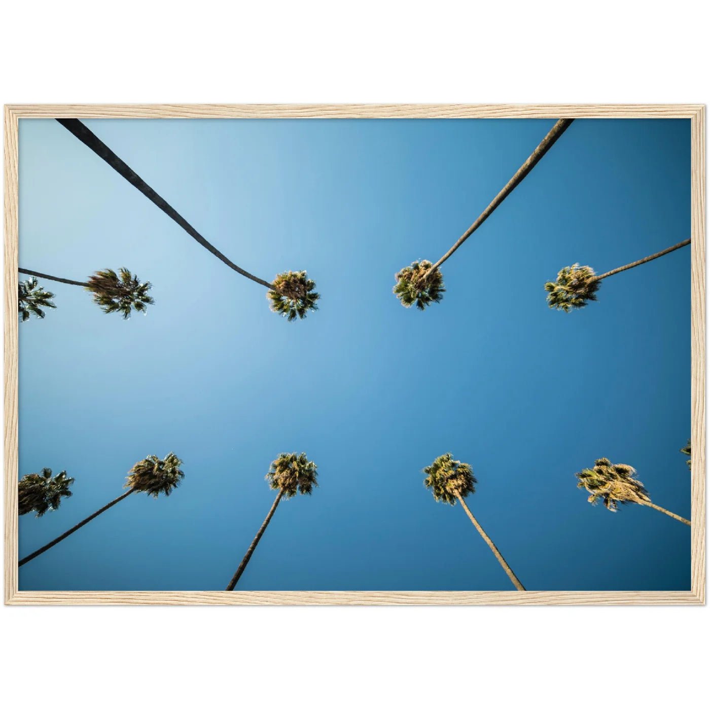 Los Angeles Palm Trees Wall Art - Luxury Art Canvas