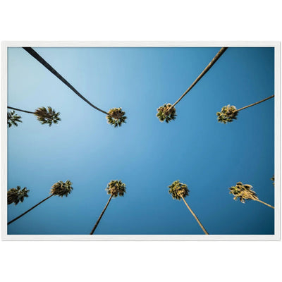 Los Angeles Palm Trees Wall Art - Luxury Art Canvas