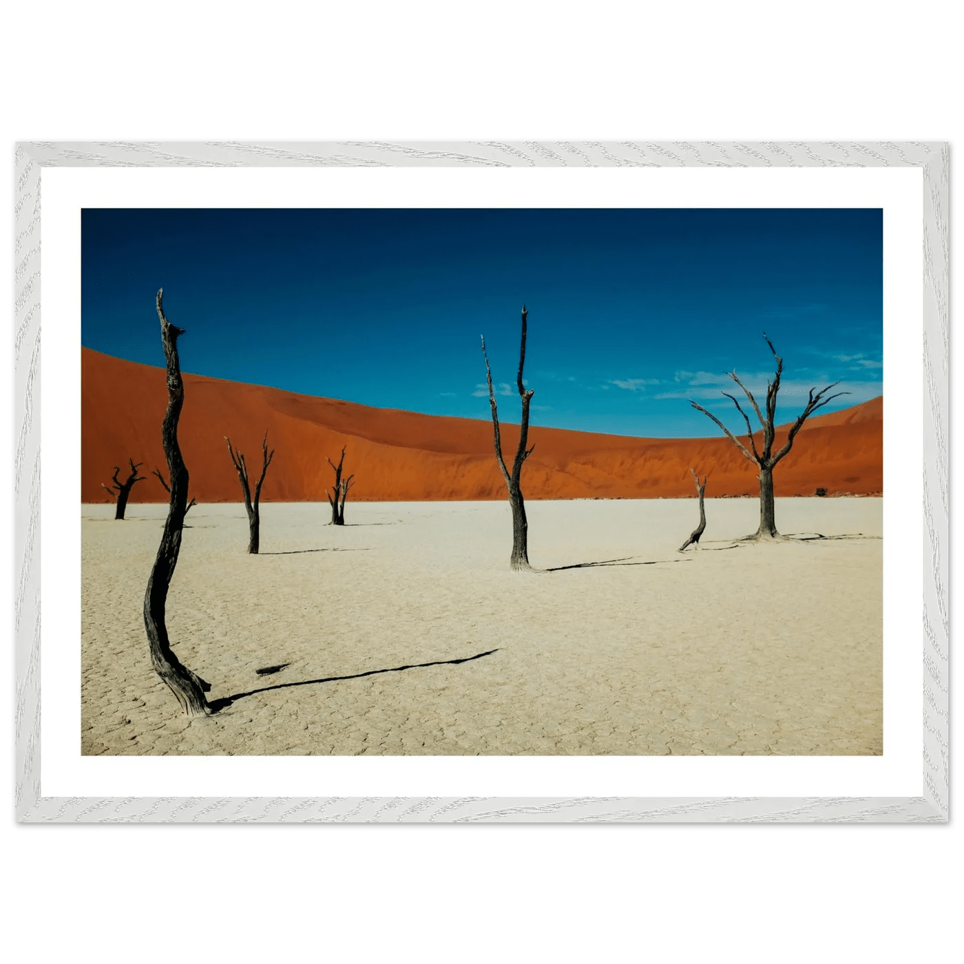 Namib Desert Photography Wall Art - Luxury Art Canvas
